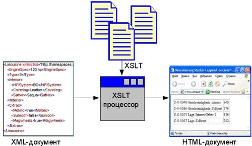  XML 